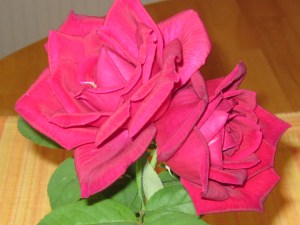 The sense of smell is a strong way to get your attention.